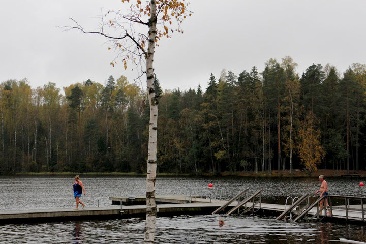 サウナ体験をより豊かにしてくれるフィンランドの国樹、白樺のお話
